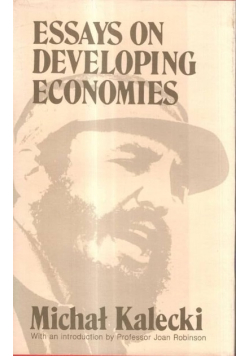 Essays on developing economies