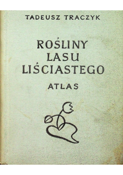 Rośliny lasu liściastego