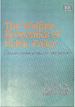 The Welfare Economics of Public Policy