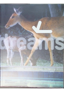 Videodreams: Between the Cinematic and the Theatrical