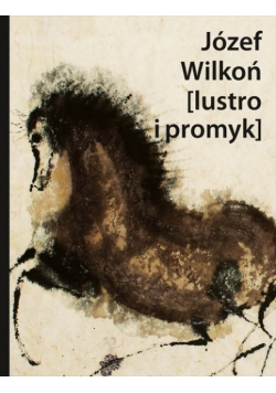 Józef Wilkoń [lustro i promyk]