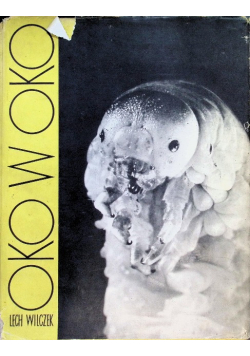 Oko w oko