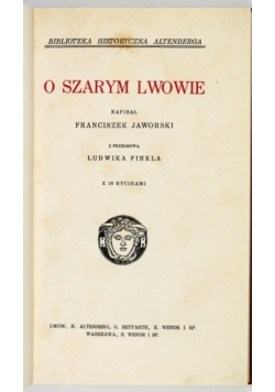 O szarym Lwowie, 1917 r.