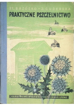 Praktyczne pszczelnictwo