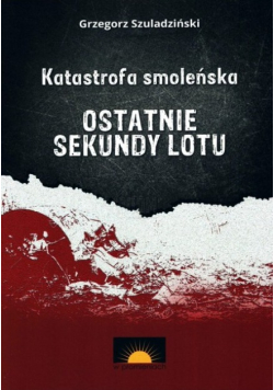 Katastrofa smoleńska Ostatnie sekundy lotu