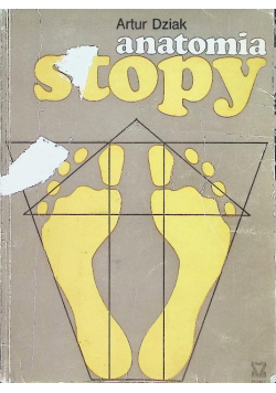Anatomia Stopy