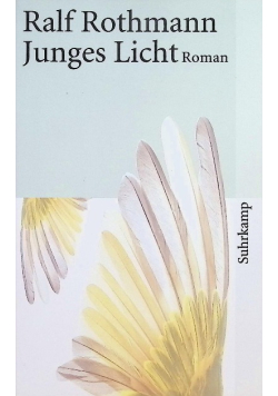 Junges Licht Roman