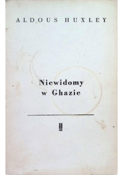 Niewidomy w Ghazie