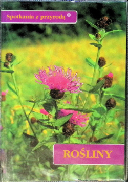 Spotkania z przyrodą Rośliny