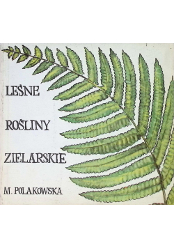 Leśne rośliny zielarskie