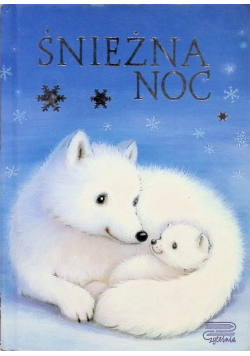 Śnieżna noc