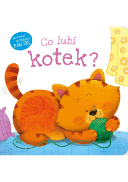 Co lubi kotek?