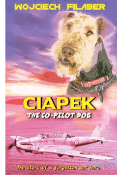 Ciapek drugi pilot