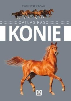 Konie  Atlas ras
