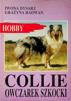 Collie owczarek szkocki