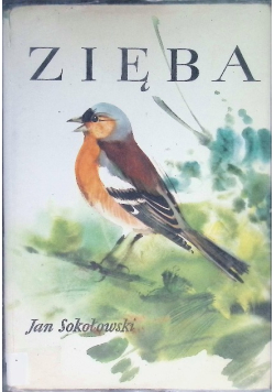 Zięba