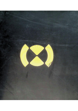 Łódź biennale