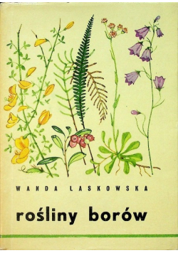 Rośliny borów