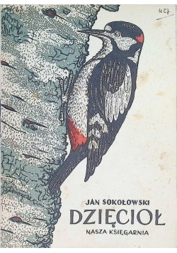 Dzięcioł