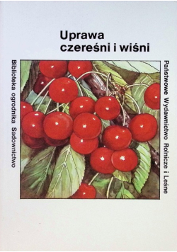 Uprawa czereśni i wiśni