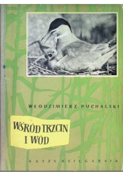 Wśród trzcin i wód
