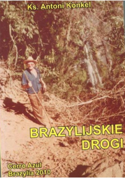 Brazylijskie drogi