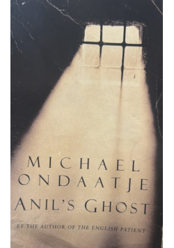 Anil's ghost