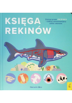 Księga rekinów