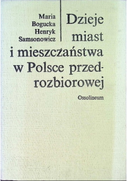Dzieje miasta i mieszczaństwa w Polsce przedrozbiorowej