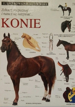 Zobacz rozpoznaj i naucz się nazywać konie