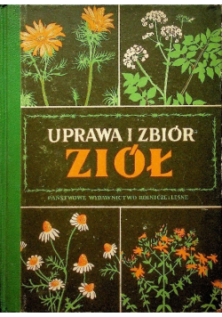Uprawa i zbiór ziół