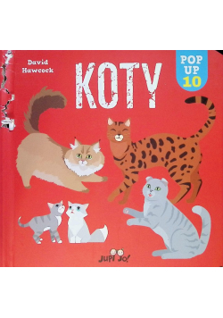 Koty POP-UP 10