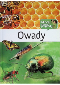 Owady
