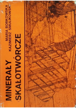 Minerały Skałotwórcze