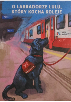 O labradorze Lulu, który kocha koleje