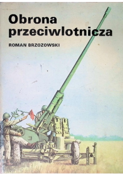 Obrona przeciwlotnicza