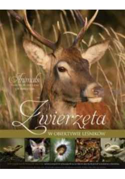 Zwierzęta w obiektywie leśników
