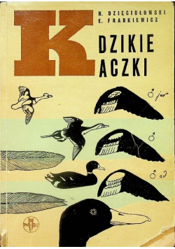 Dzikie kaczki