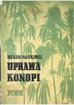 Uprawa konopi 1950 r.