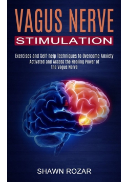 Vagus Nerve Stimulation