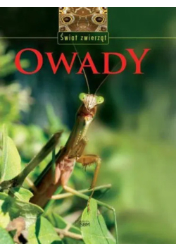 Owady