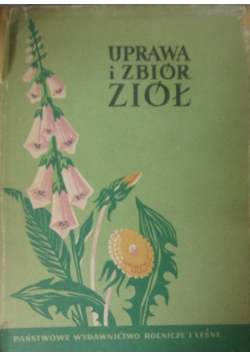 Uprawa i zbiór ziół