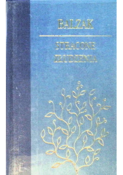 Stracone złudzenia