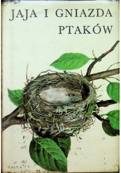 Jaja i gniazda ptaków