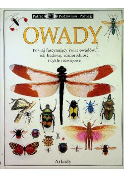 Owady