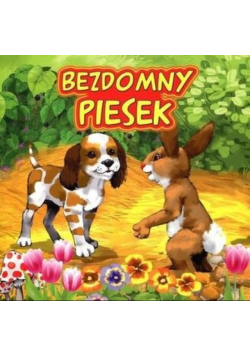 Bezdomny piesek