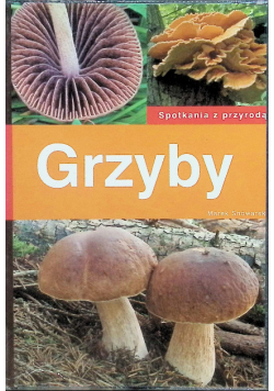 Grzyby