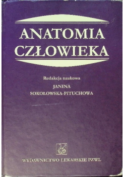 Anatomia człowieka