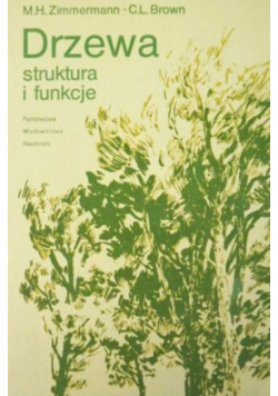 Drzewa - struktura i funkcje