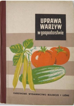 Uprawa warzyw w gospodarstwie